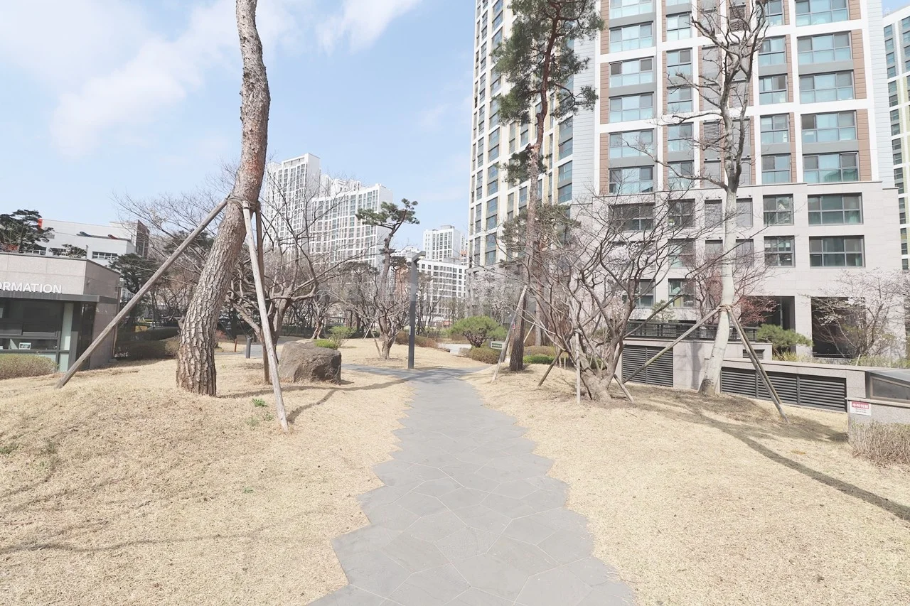 산책로,보행로
