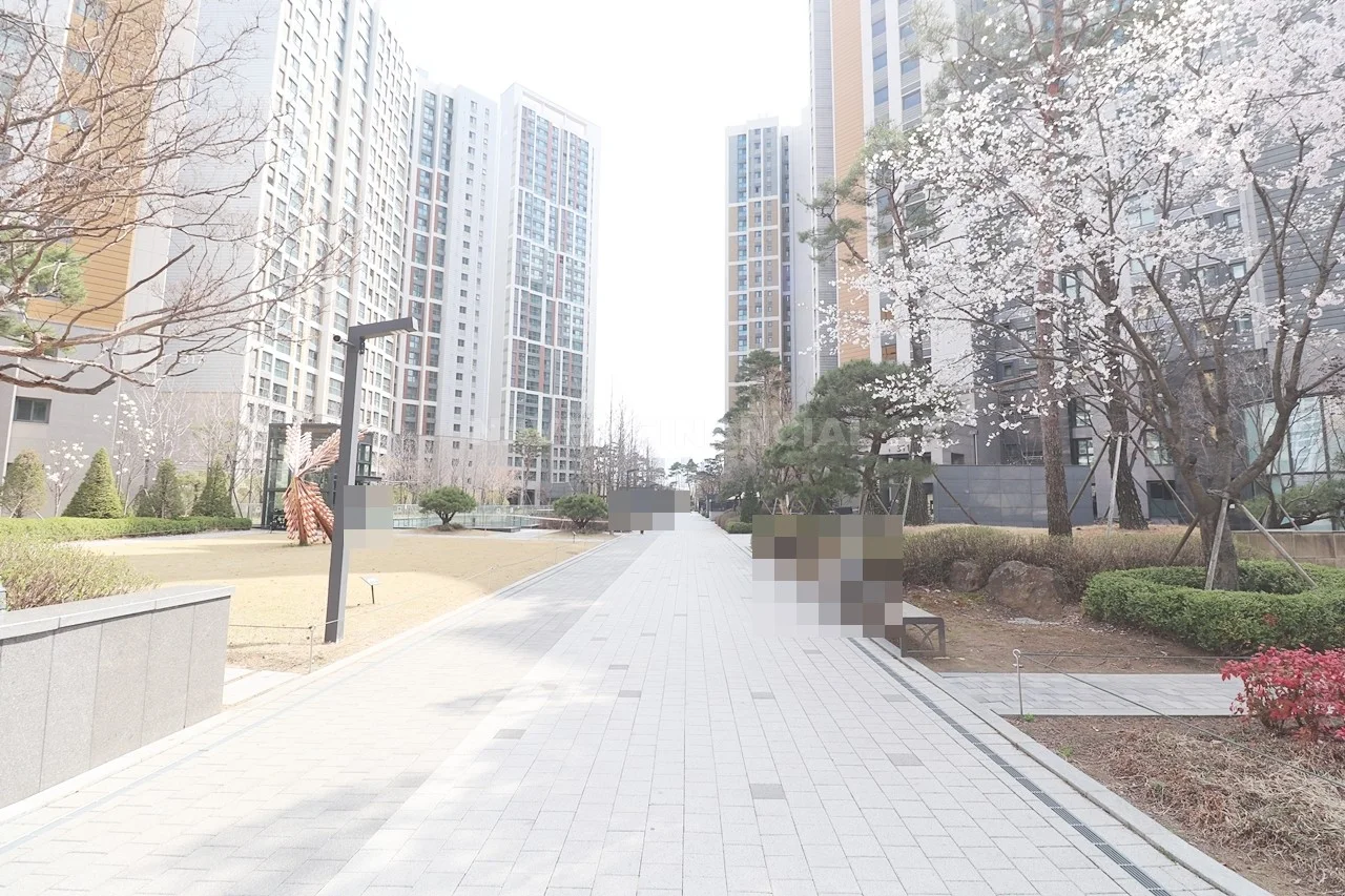산책로,보행로