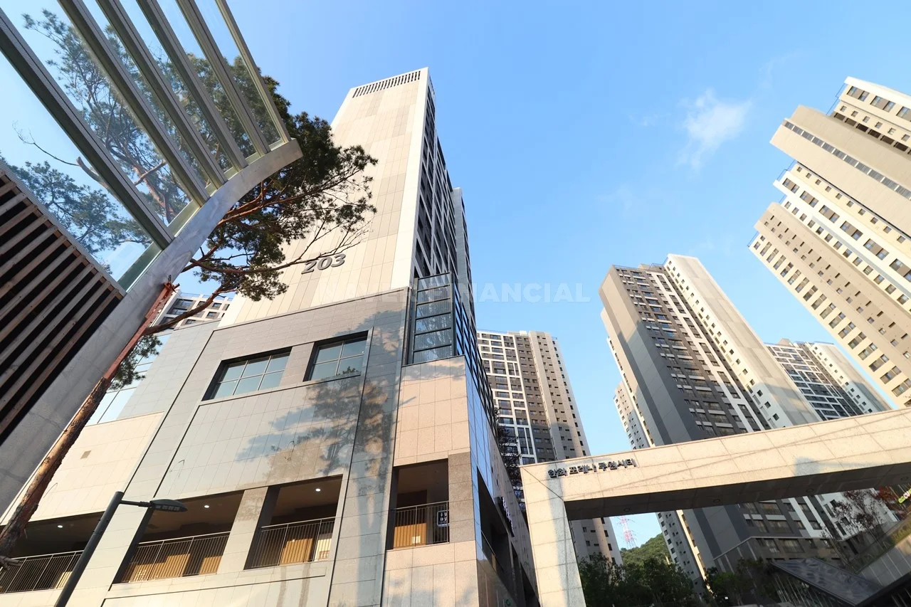 전경