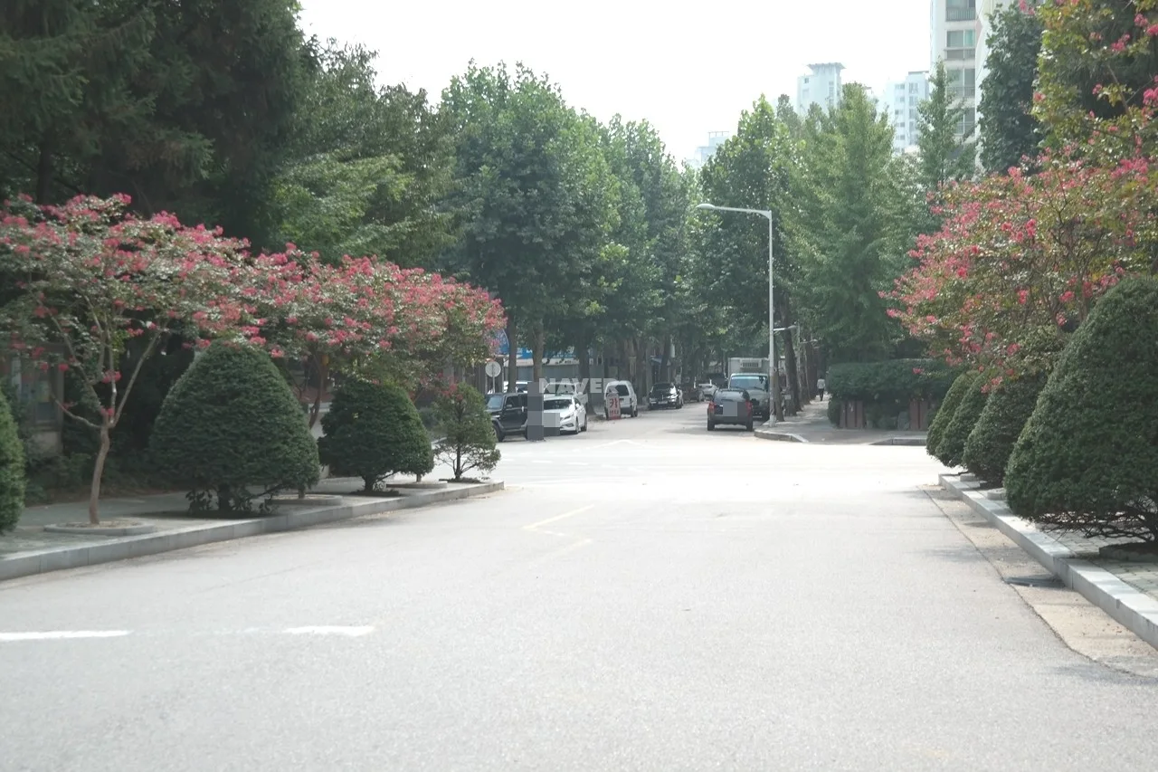정문