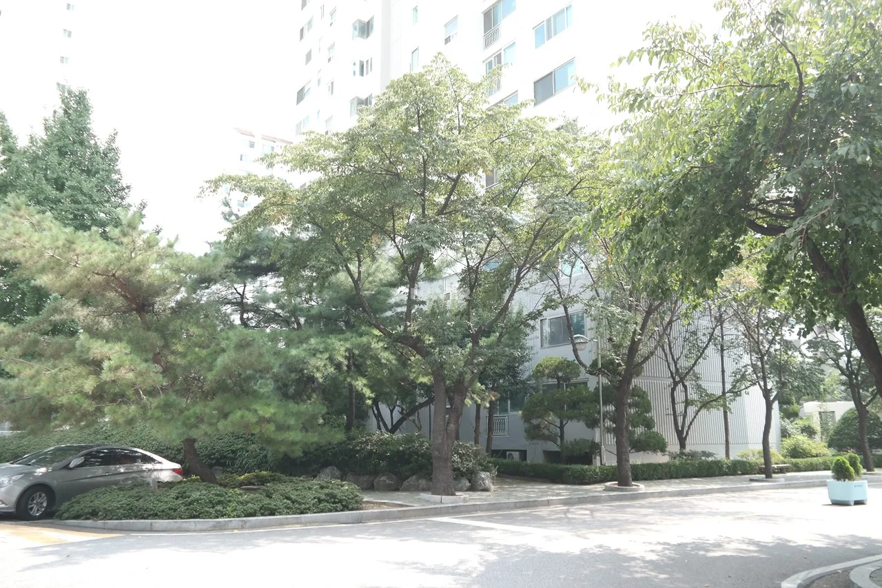 조경