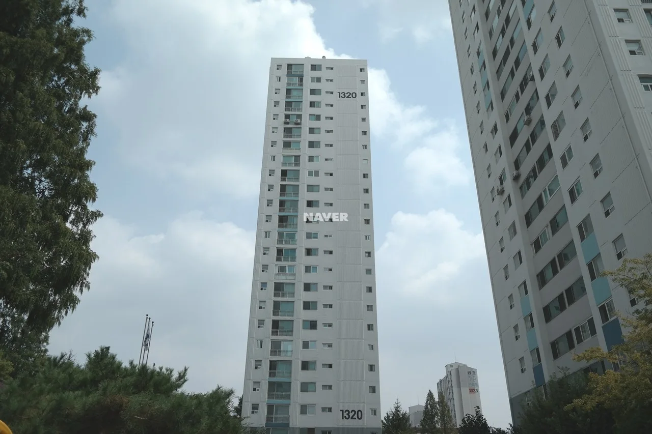 전경