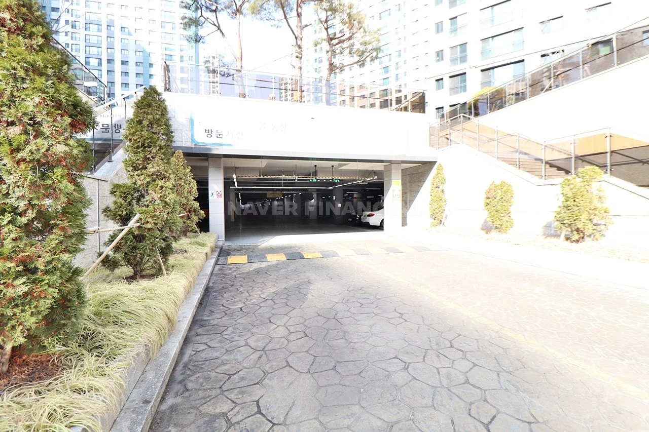 지상주차장