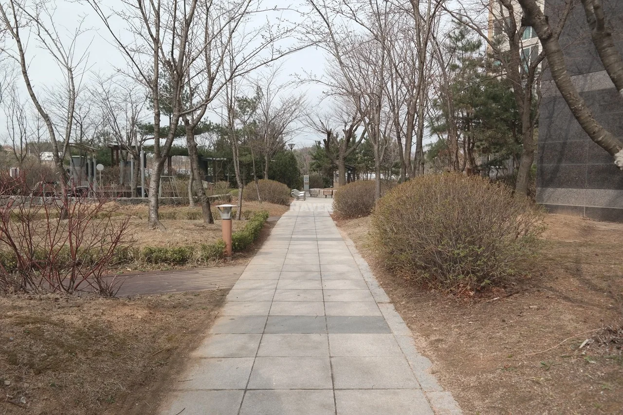 산책로,보행로