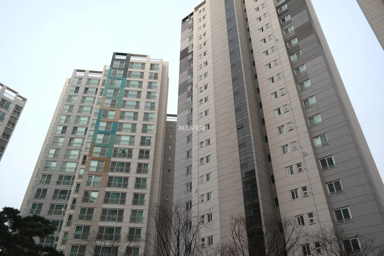 전경