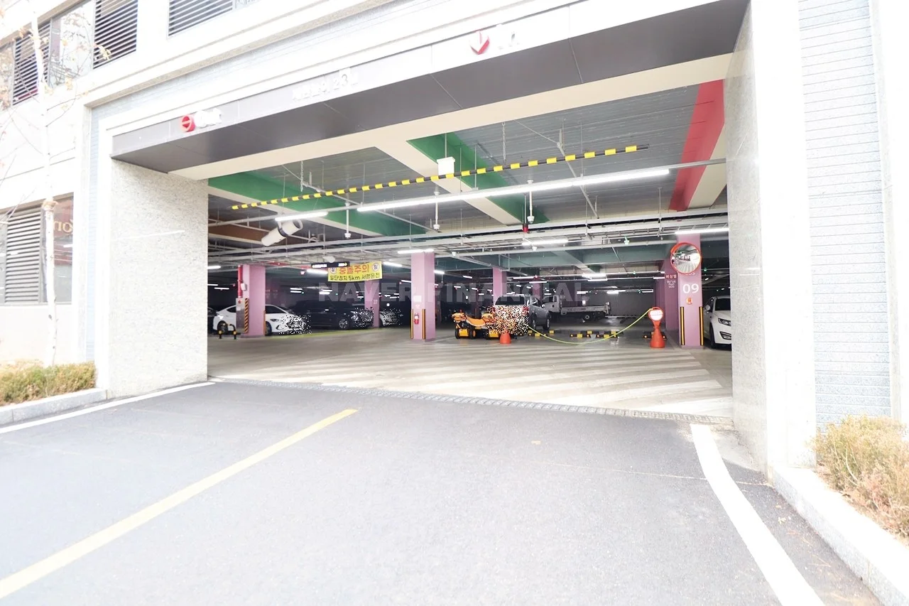 지상주차장