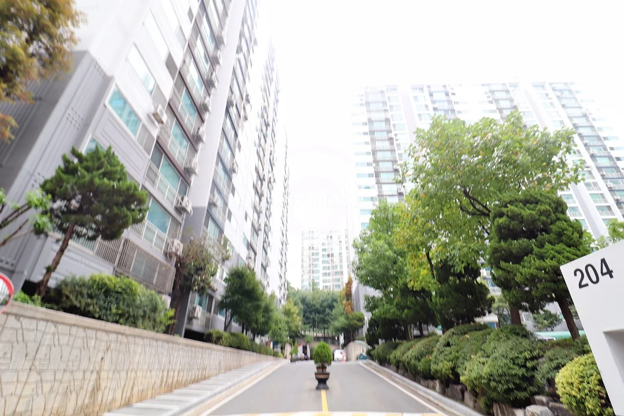 전경